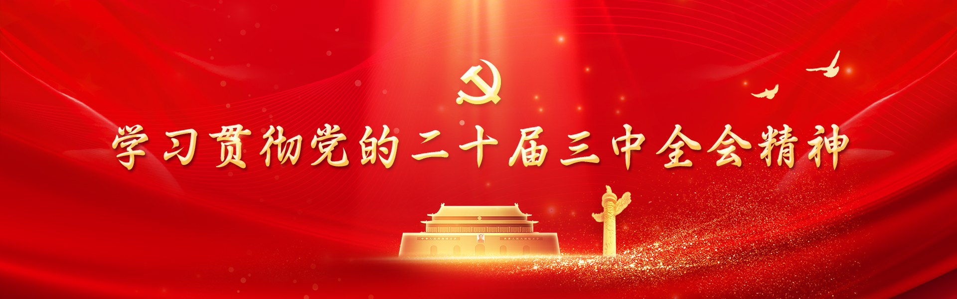 学习贯彻党的二十届三中全会精神